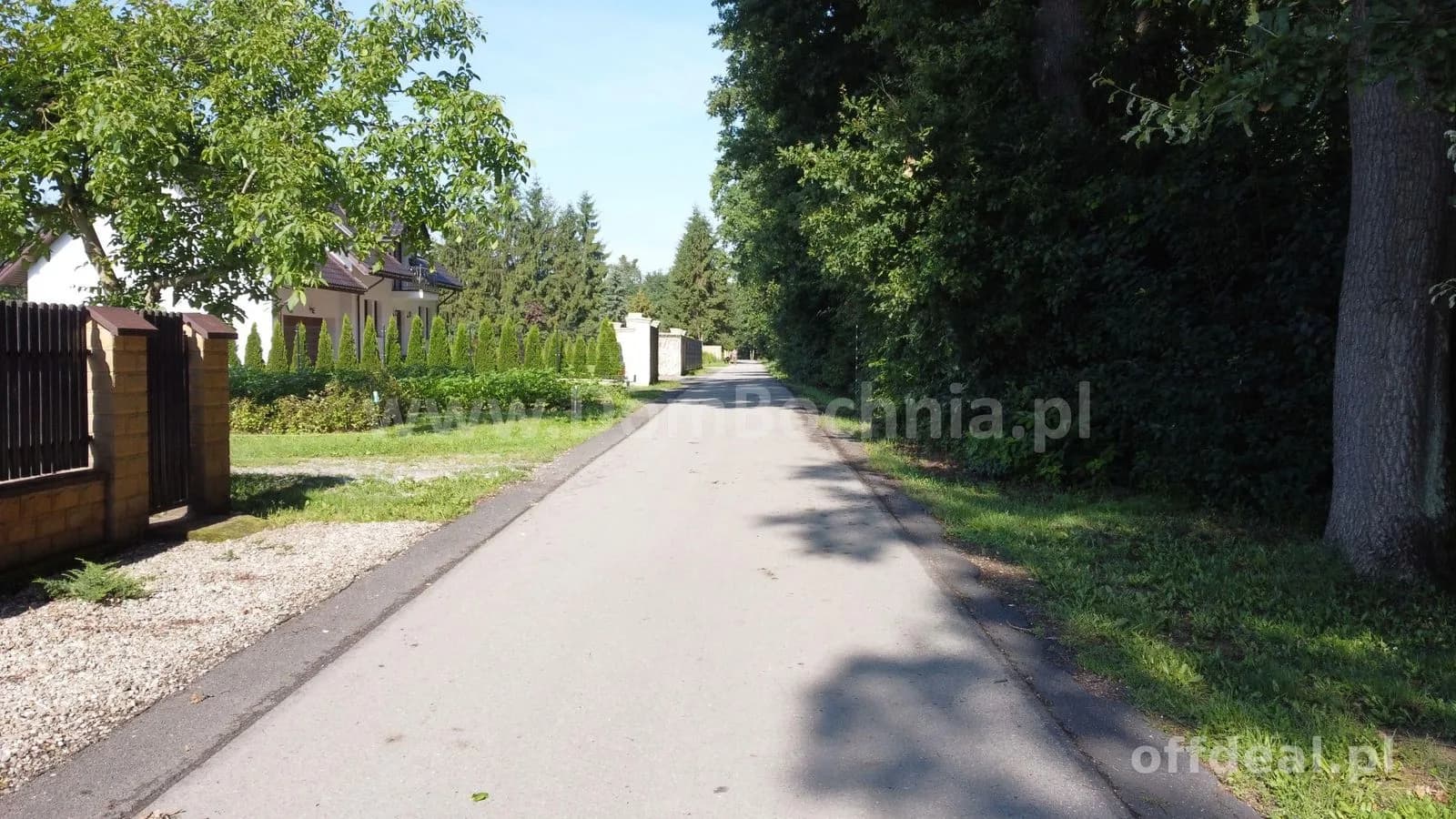 Jasień Klonowa działka dla dewelopera przy lesie