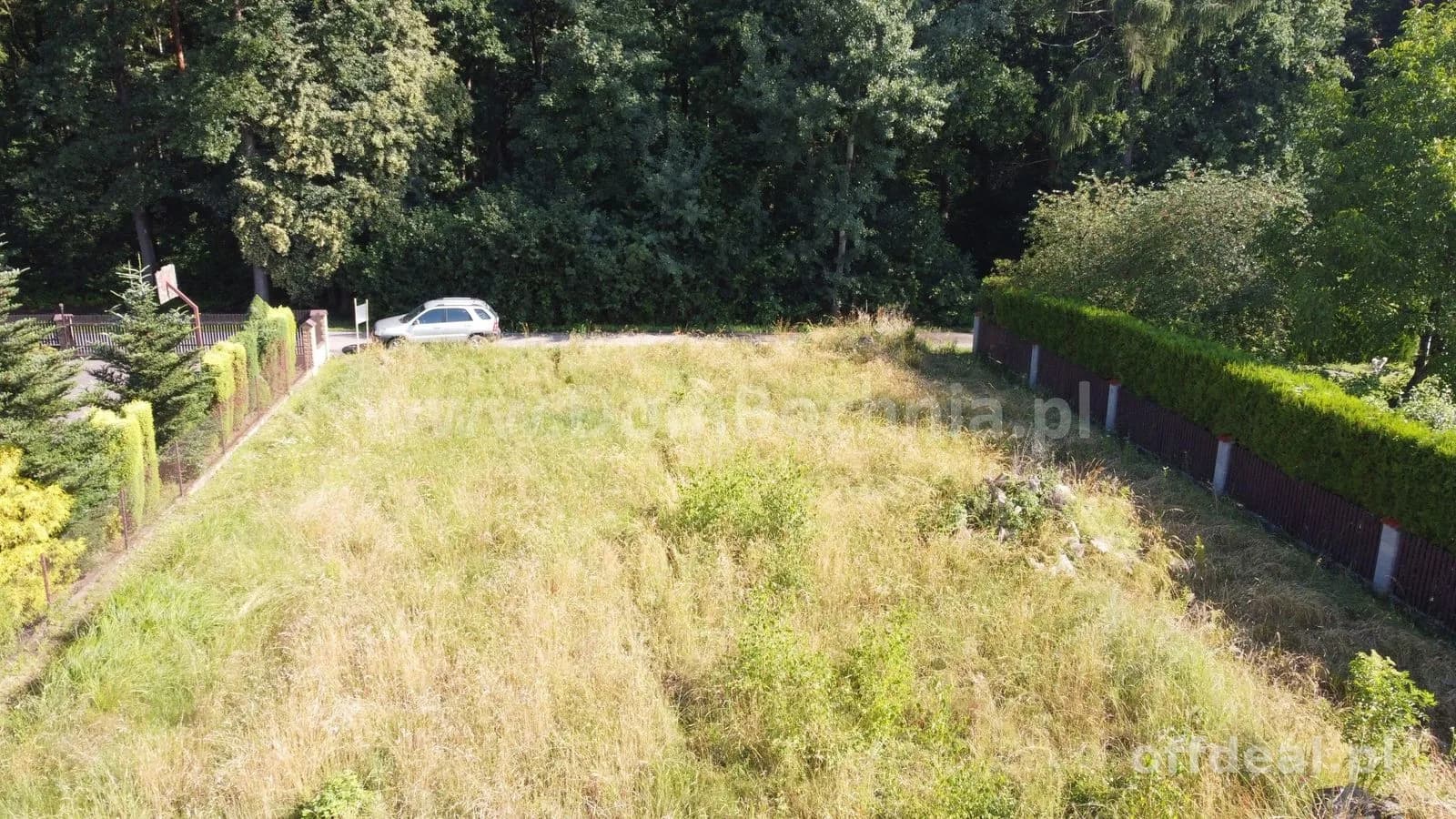 Jasień Klonowa działka dla dewelopera przy lesie