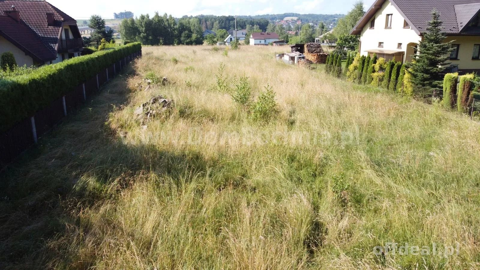 Jasień Klonowa działka dla dewelopera przy lesie