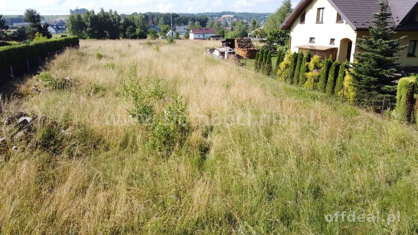 Jasień Klonowa działka dla dewelopera przy lesie