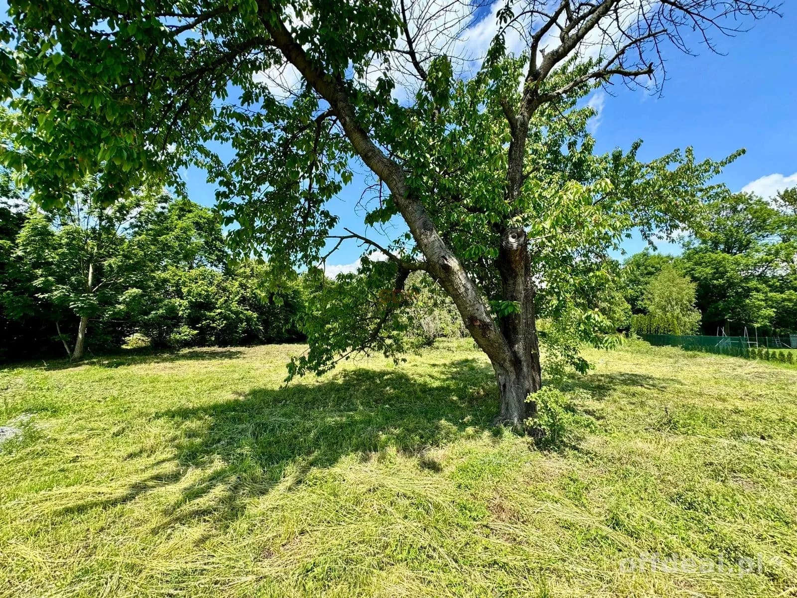 Grundstück zum Verkauf in Zabardowice | 1.905 m²