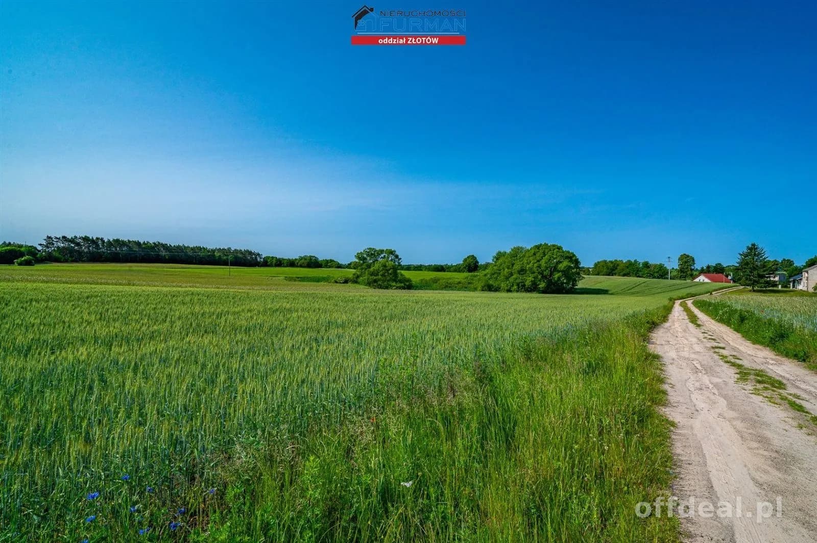 terrain à vendre à Stawnica | 9 200 m²