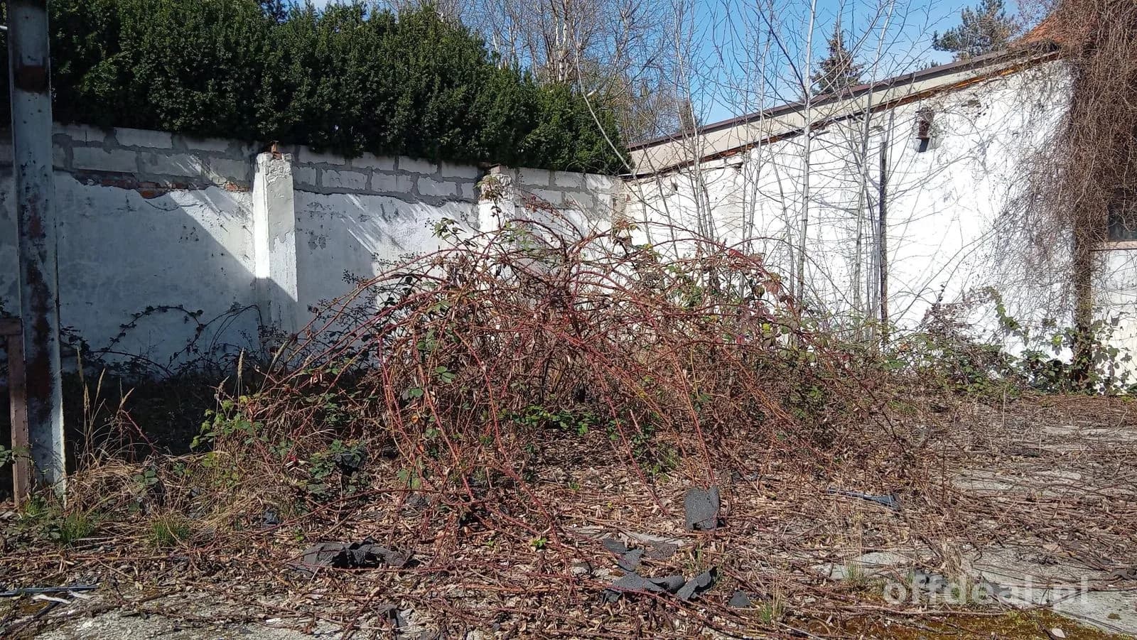 Dom do remontu / działka 735m2 /widok na Odrę/Karłowice