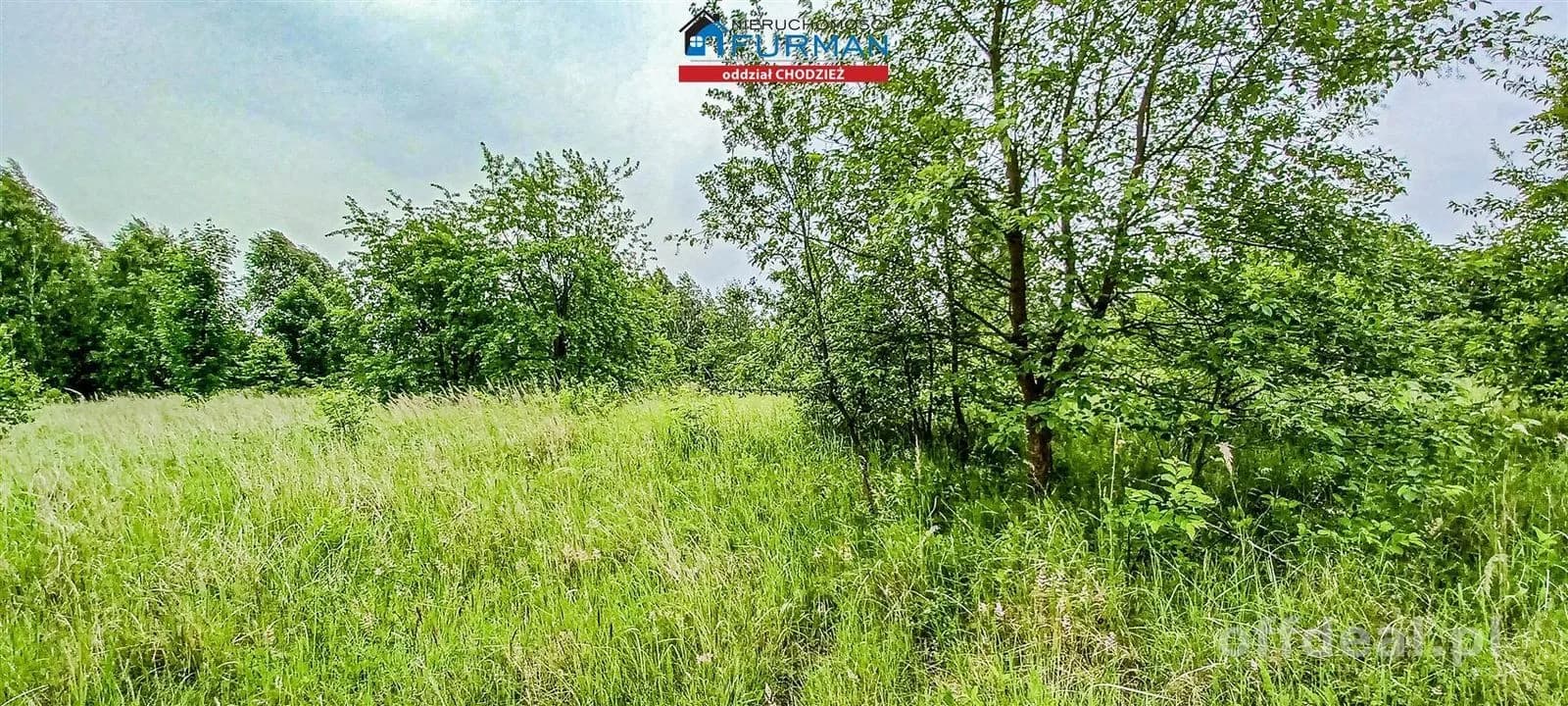 terrain à vendre à Oleśnica | 1 350 m²