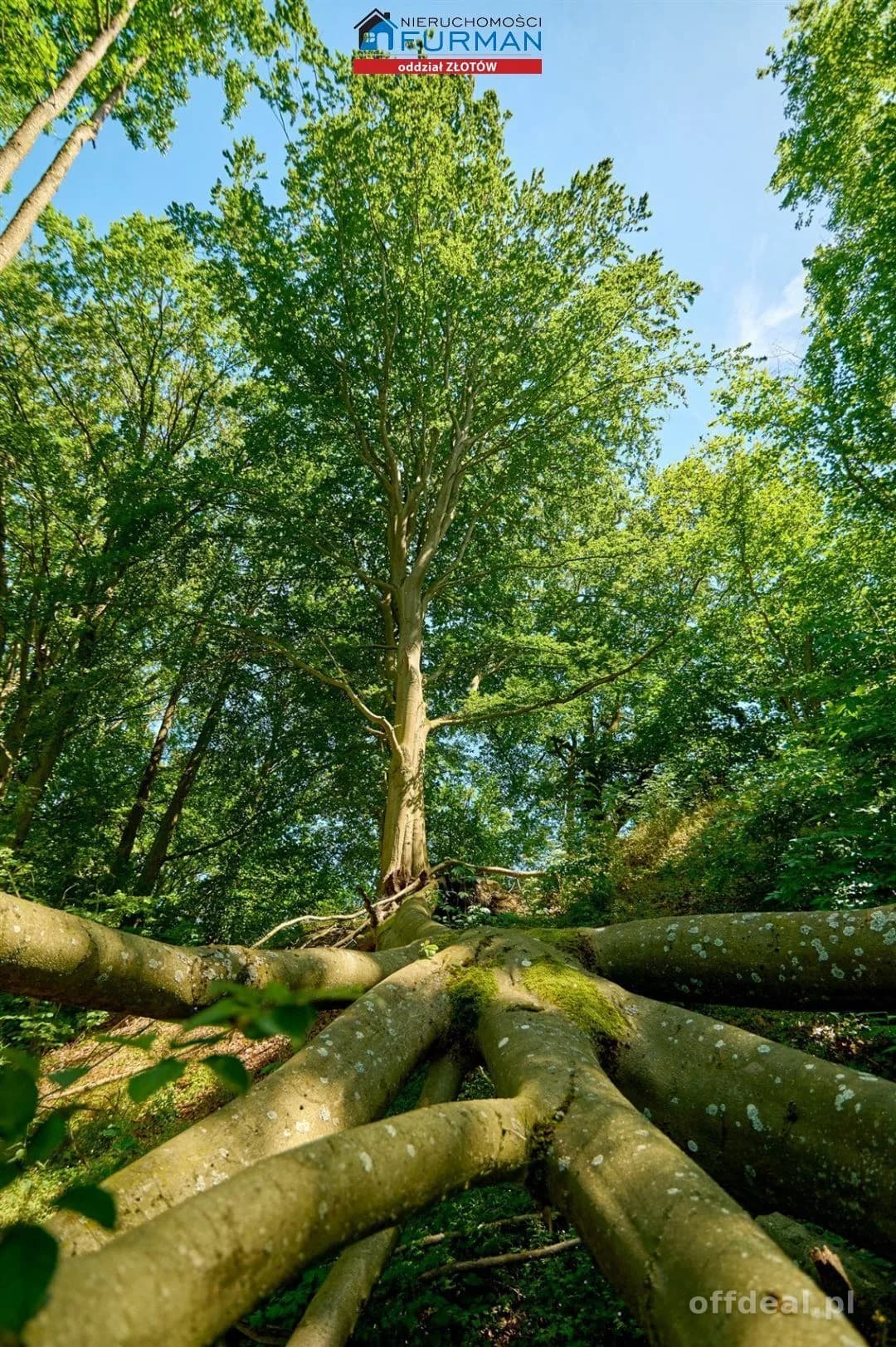 Działka na sprzedaż, Łąkie