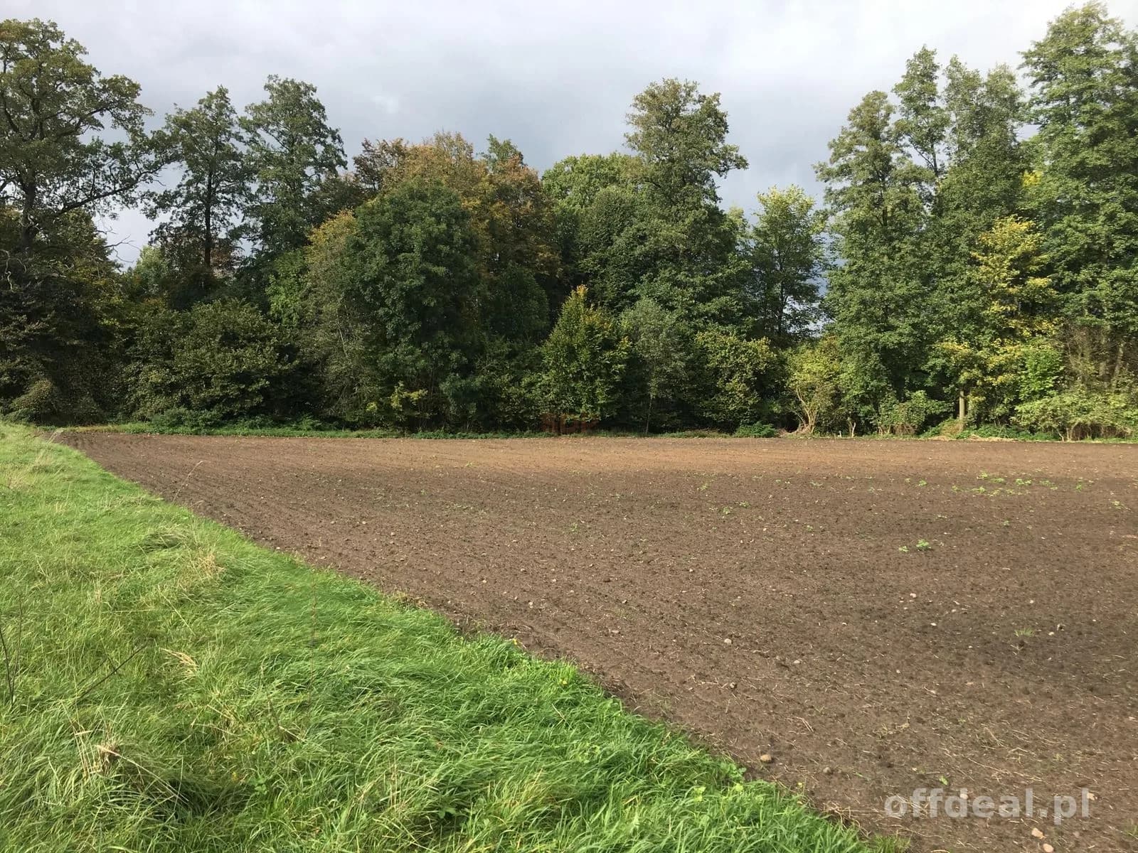 Grundstück zum Verkauf in Raków | 3.287 m²