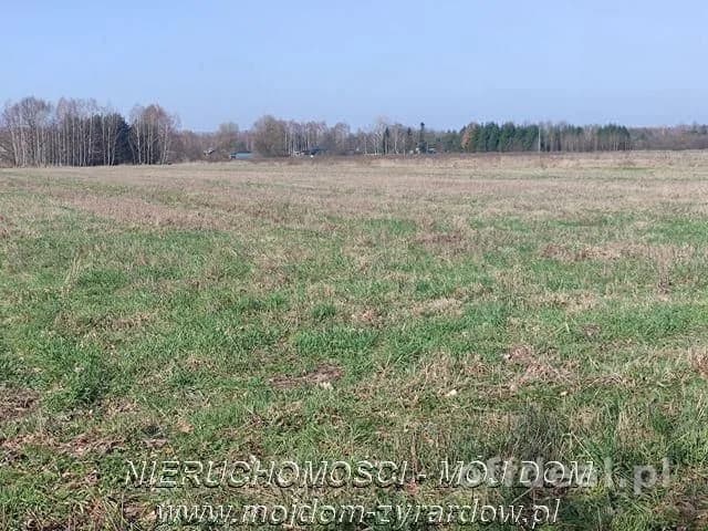 Duża działka w Studzieńcu