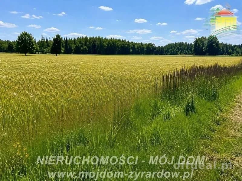 Dwie działki rolne w Studzieńcu!