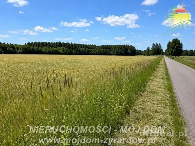 Dwie działki rolne w Studzieńcu!