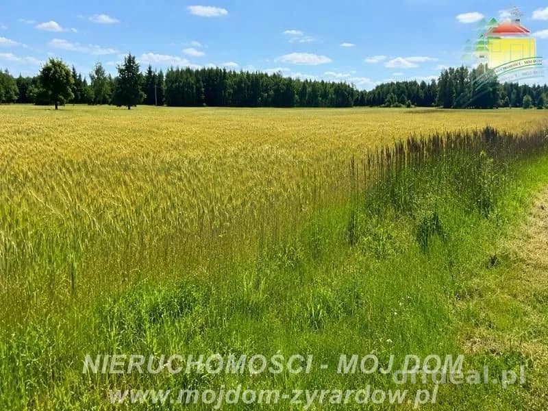 Dwie działki rolne w Studzieńcu!