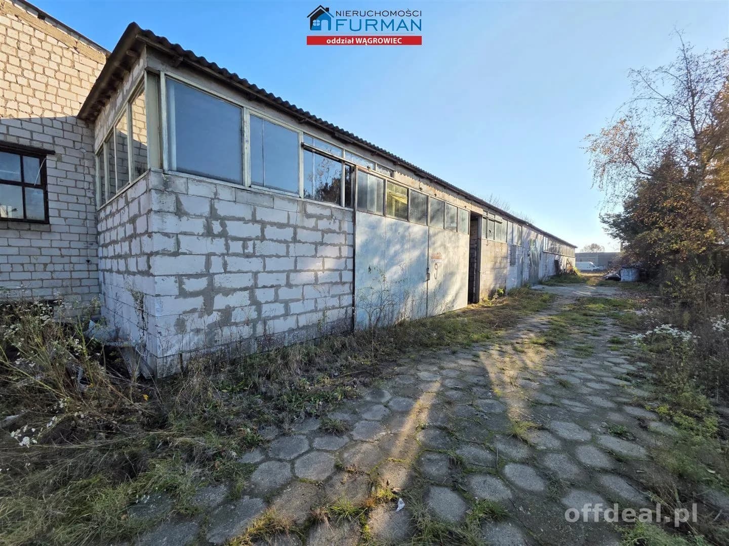 Gewerbeimmobilie zur Miete in Wągrowiec | 63 m²