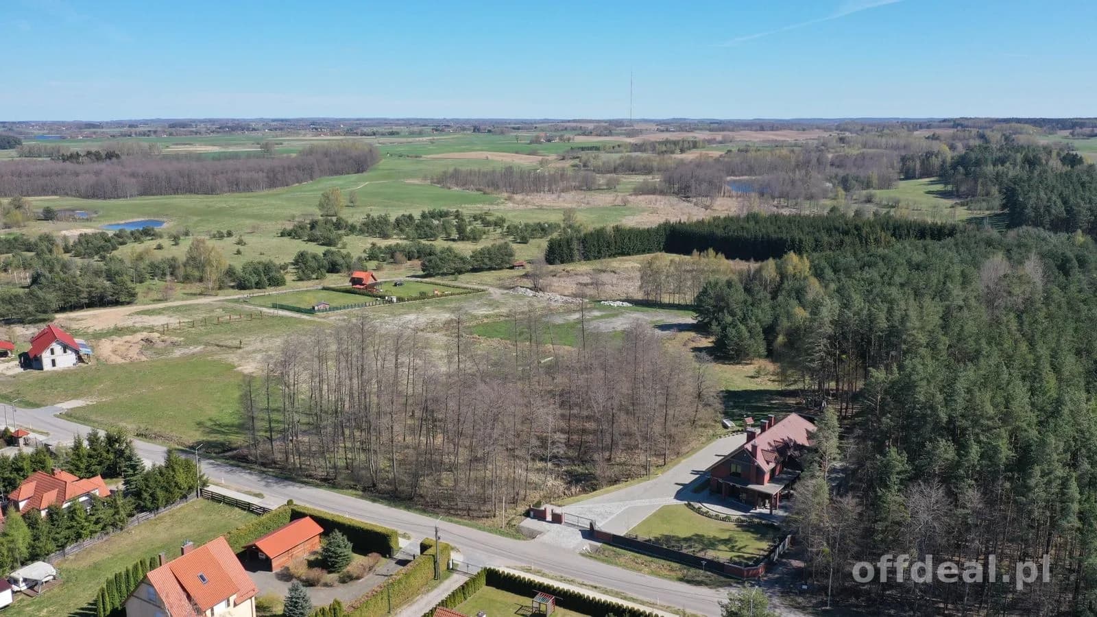 Budowlana działka z własnym lasem - Rydzewo