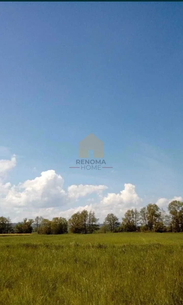 terrain à vendre à Pieszyce, Piskorzów | 4 800 m²