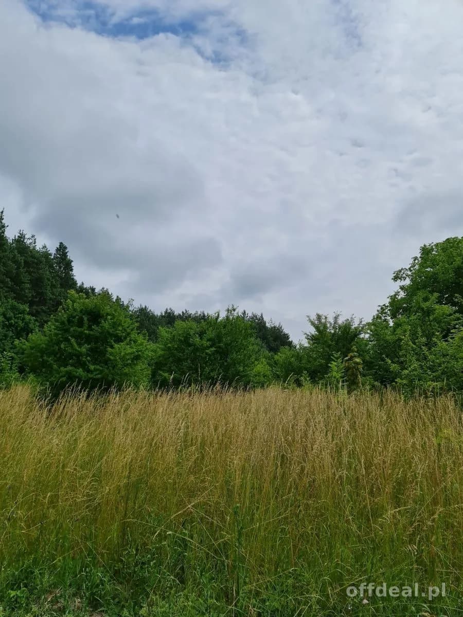 Photo 8: Terrain, 10400 m², Oleszno