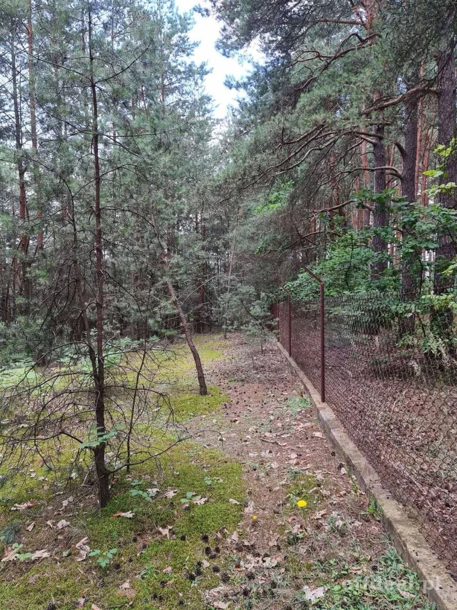 Photo 10: Terrain, 10400 m², Oleszno