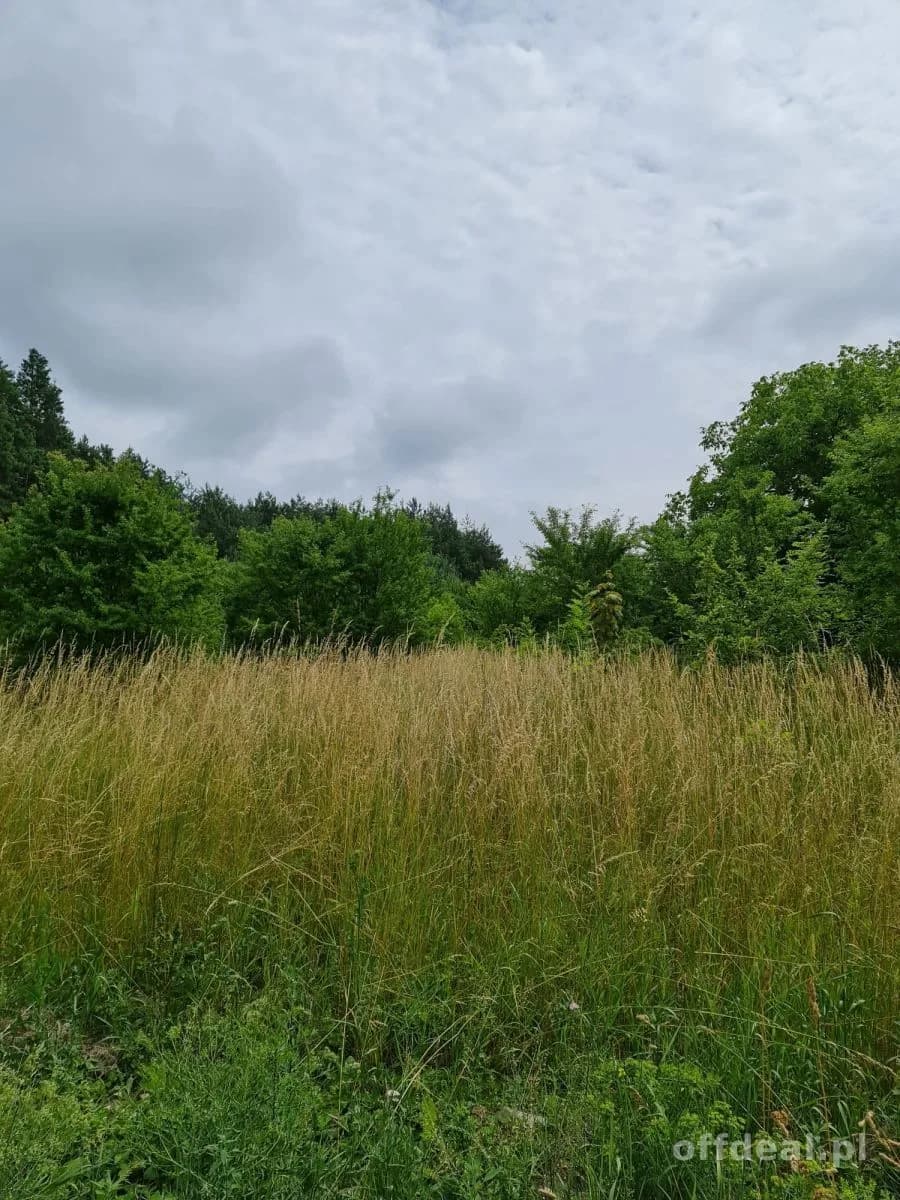 Photo 6: Terrain, 10400 m², Oleszno