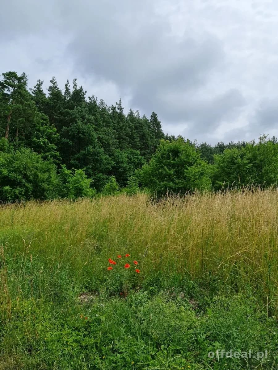 Photo 5: Terrain, 10400 m², Oleszno