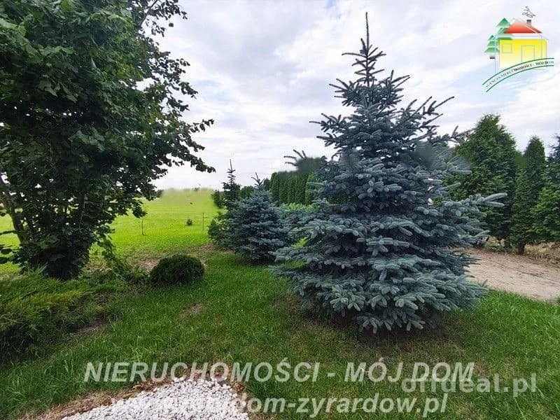 2-Zimmer Haus zum Verkauf in Wiskitki | 280 m²