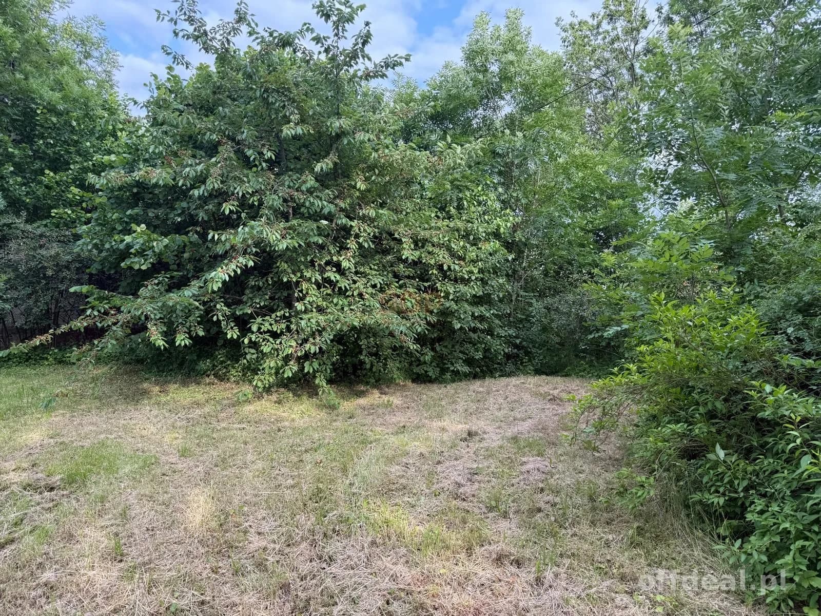 |Działka na sprzedaż! |Domasław |3000 m²|