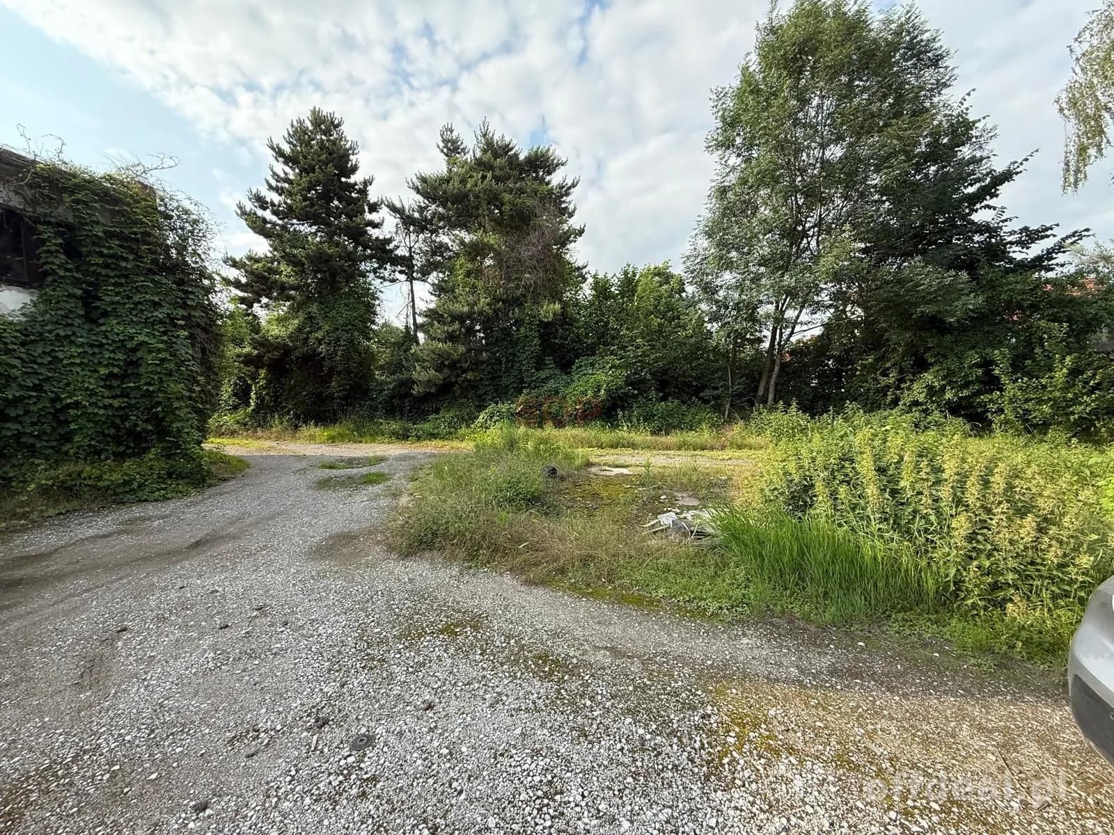 |Działka na sprzedaż! |Domasław |3000 m²|