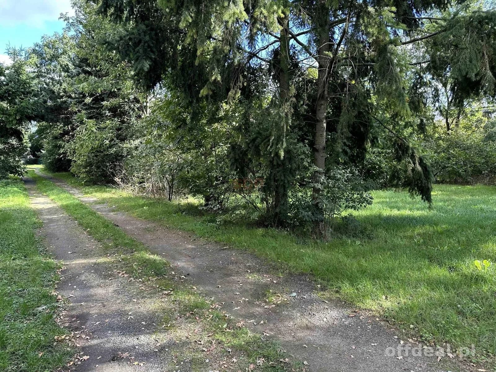 |Działka na sprzedaż! |Domasław |3000 m²|