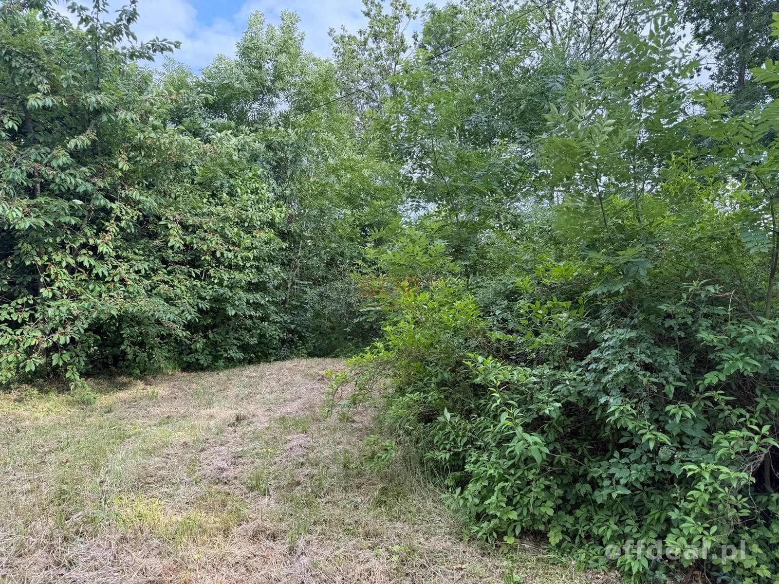 |Działka na sprzedaż! |Domasław |3000 m²|