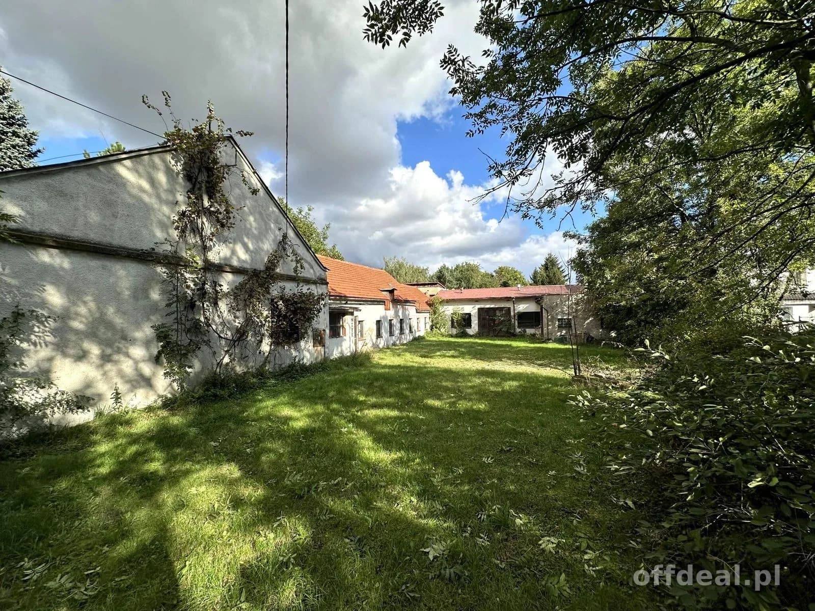 |Działka na sprzedaż! |Domasław |3000 m²|