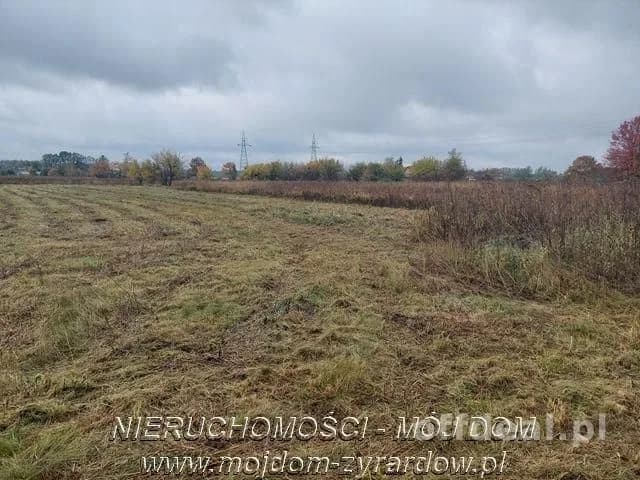 Duża działka budowlana, idealna pod inwestycję.