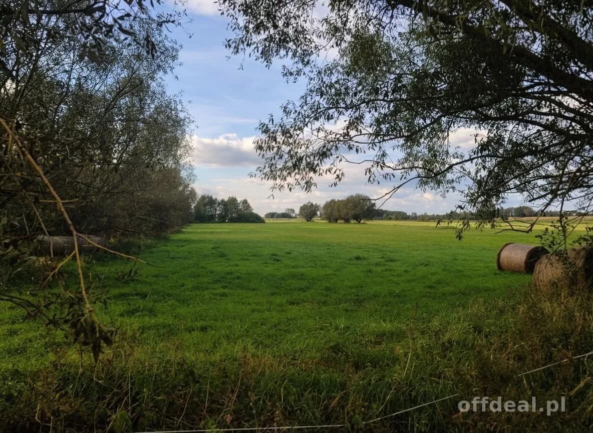 Grundstück zum Verkauf in Radziłów, Okrasin | 11.800 m²