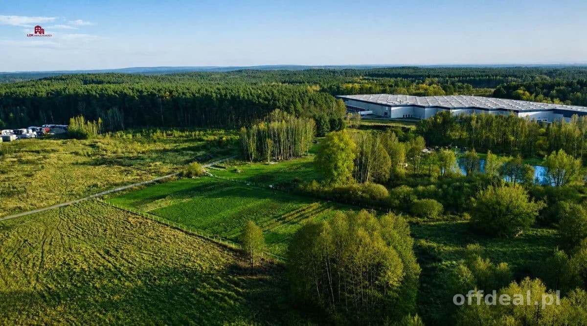 plot for sale in Zielona Góra, Nowy Kisielin | 29,146 m²
