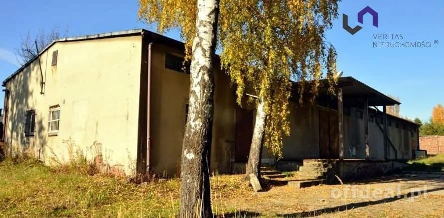 Lokal na sprzedaż, Lędziny