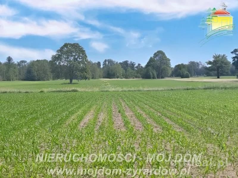plot for sale in Wiskitki | 2,990 m²