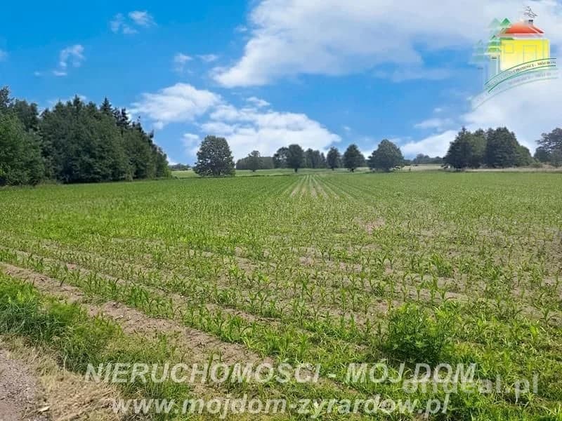 plot for sale in Wiskitki | 2,990 m²