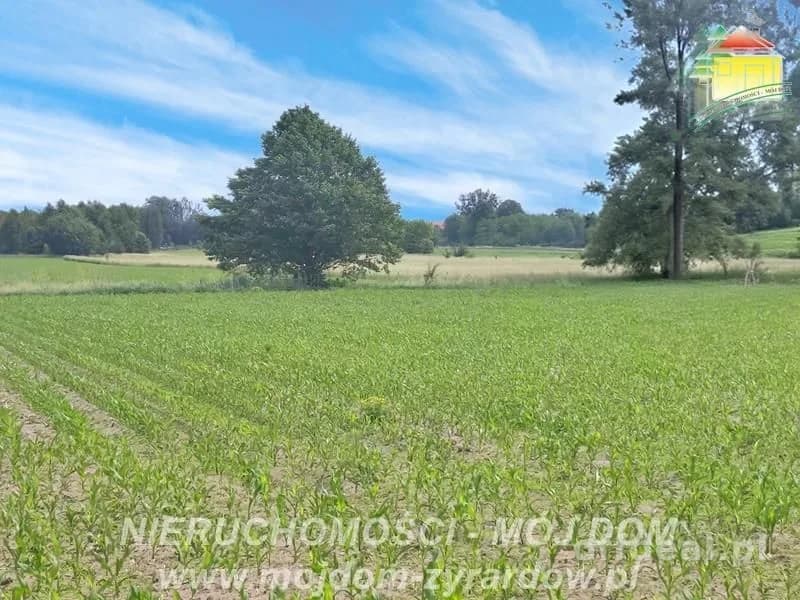 plot for sale in Wiskitki | 2,990 m²