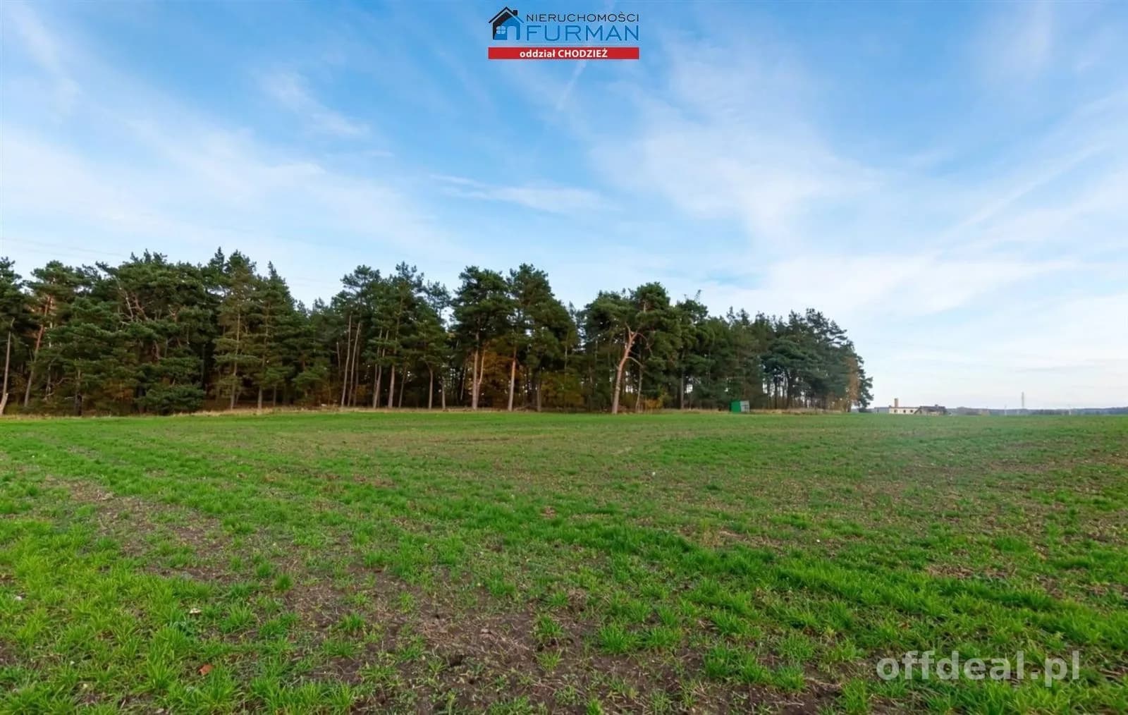 terrain à vendre à Chodzież | 3 955 m²