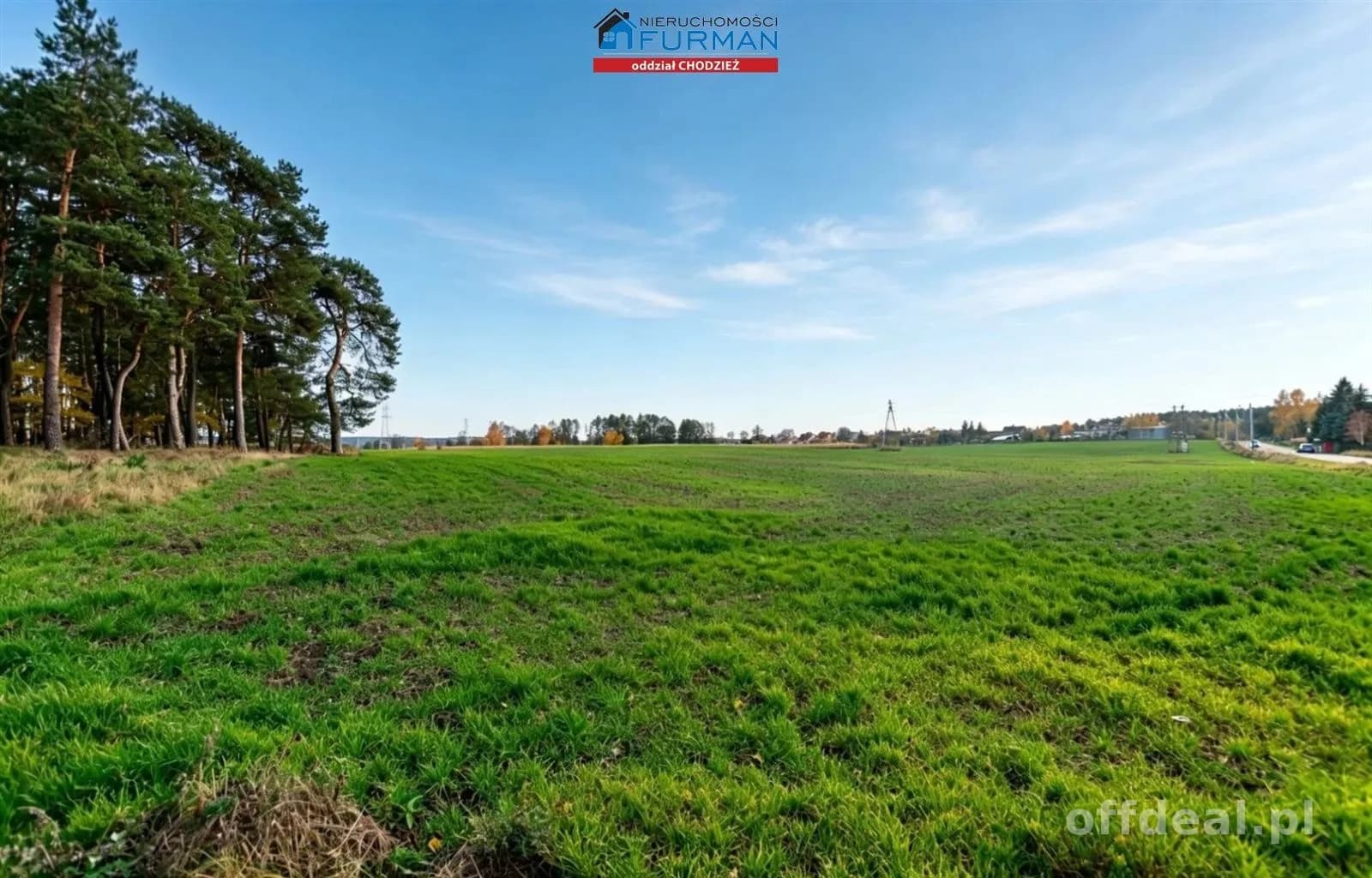 terrain à vendre à Chodzież | 3 955 m²