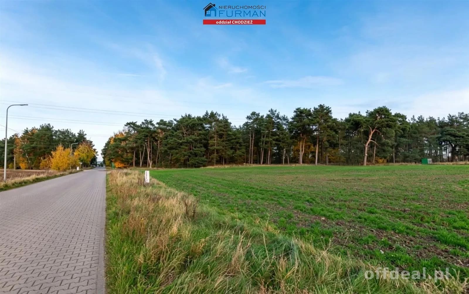 terrain à vendre à Chodzież | 3 955 m²