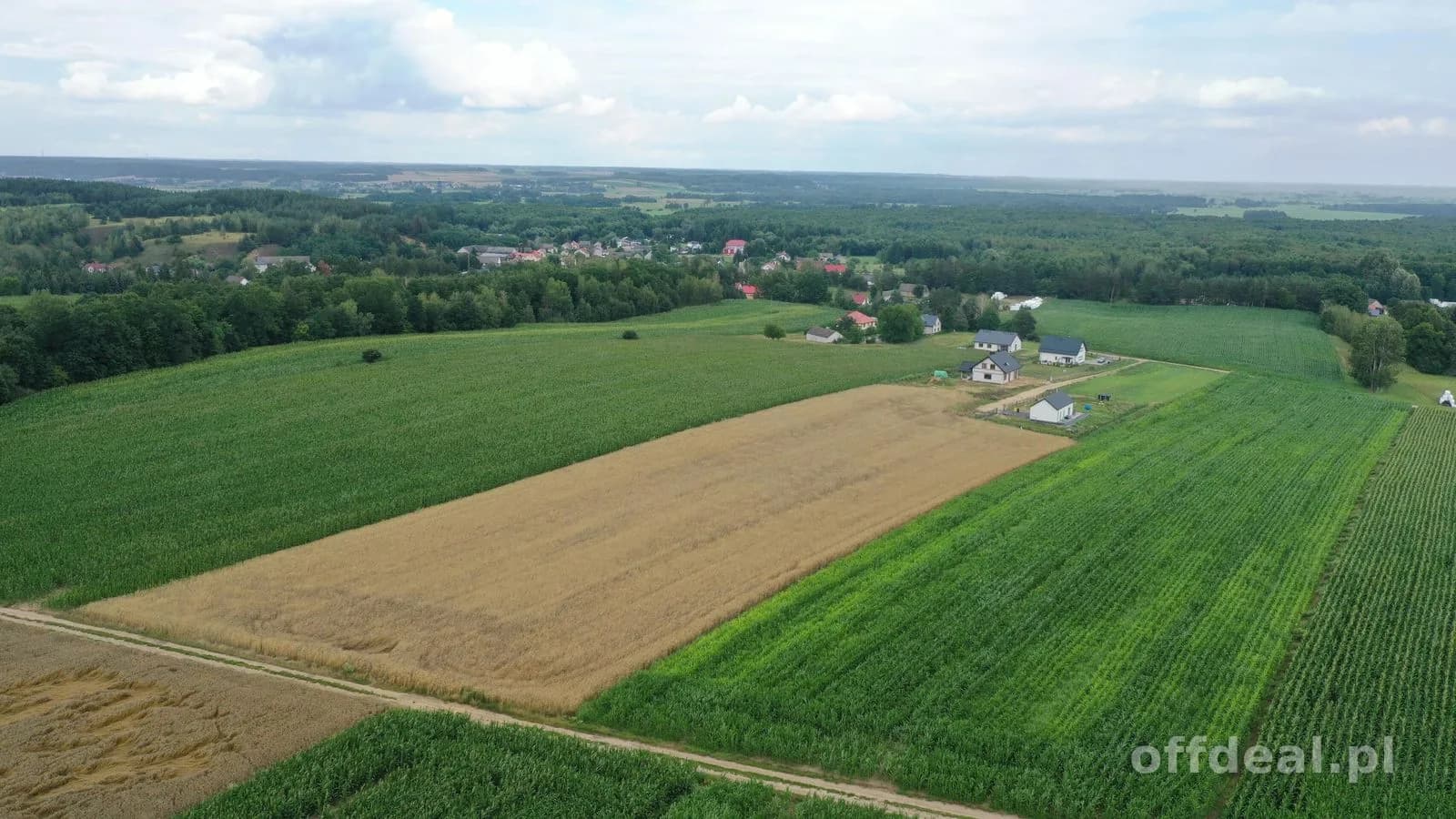 Malownicze działki budowlane Pniewo - OSTATNIA DZIAŁKA