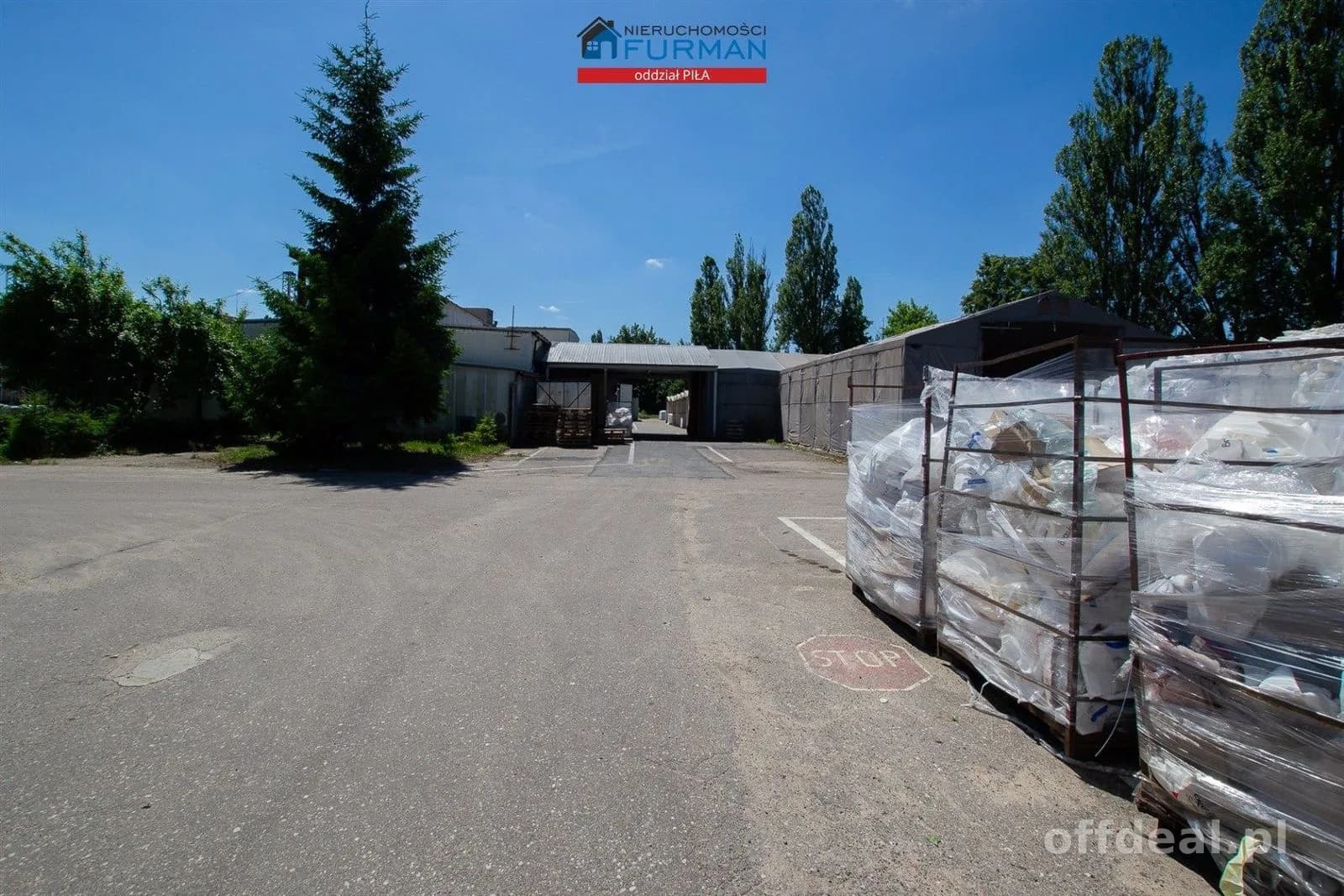 Photo 14: Bien commercial, 8694 m², Trzcianka