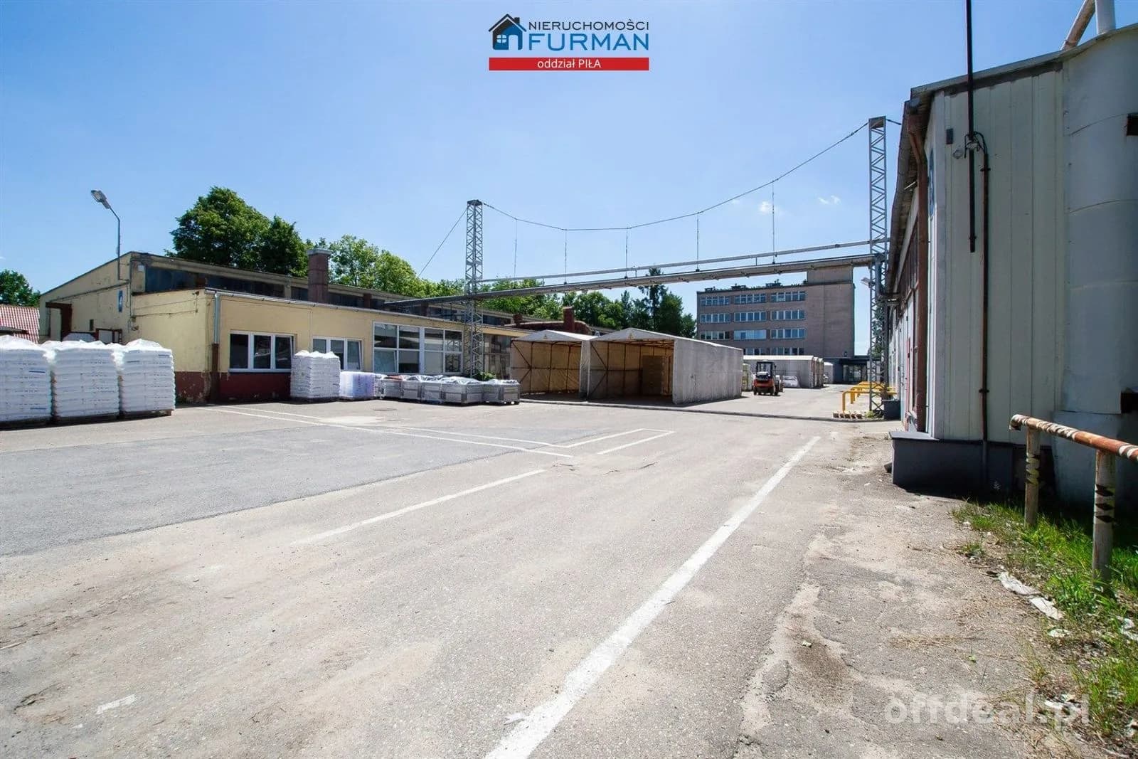 Photo 12: Bien commercial, 8694 m², Trzcianka