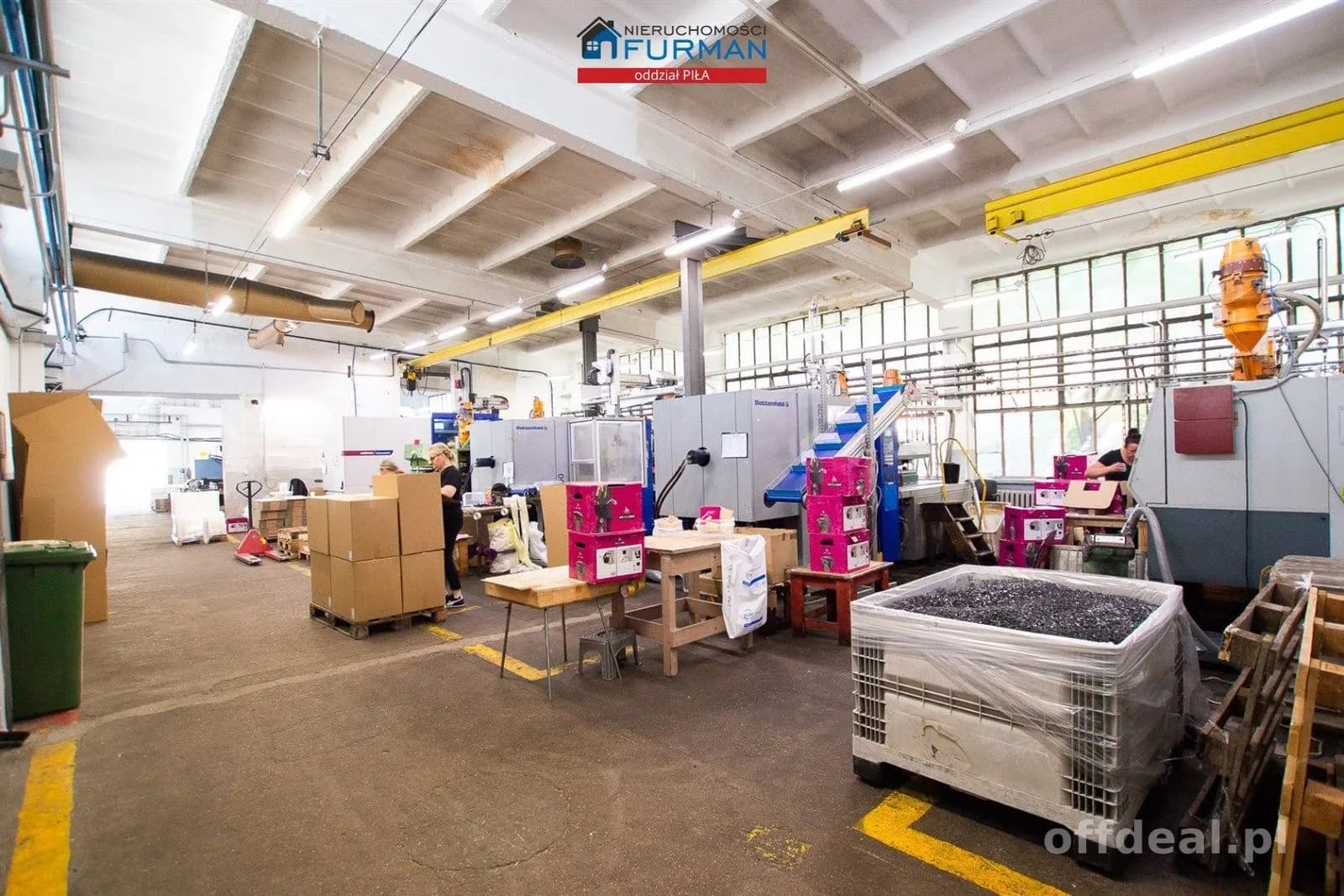 Photo 11: Bien commercial, 8694 m², Trzcianka