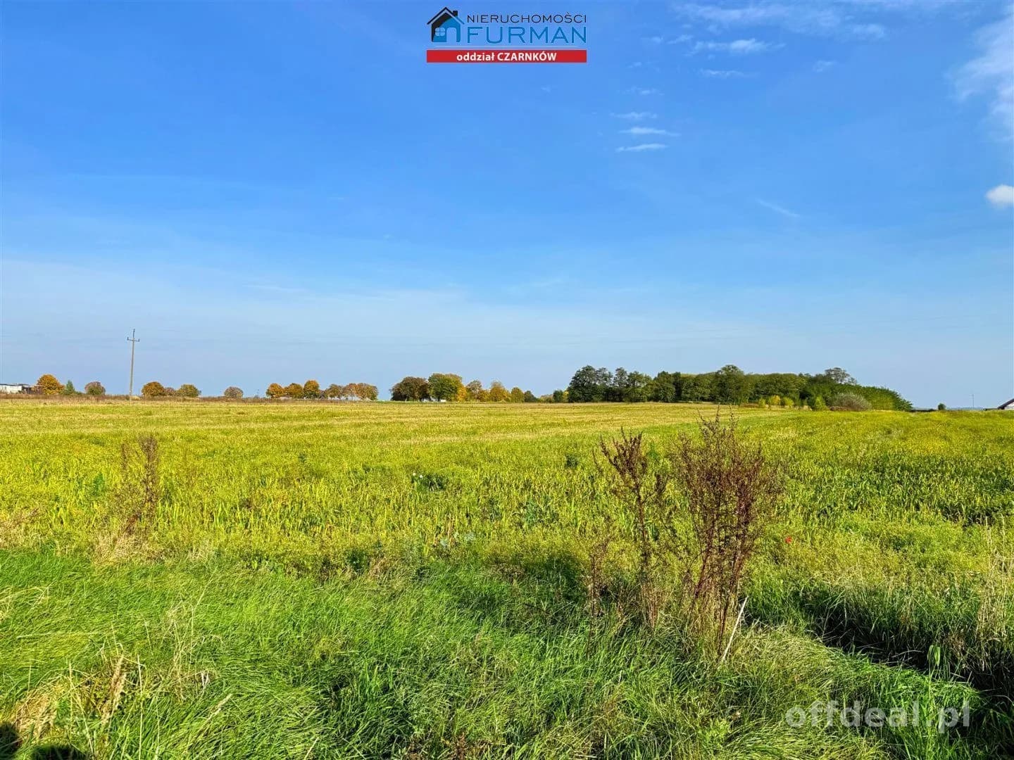 Foto 8: Grundstück, 1005 m², Biała