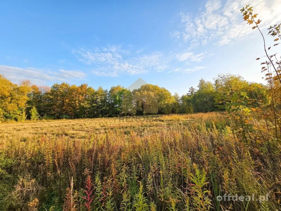 Zdjęcie 9: Lokal, 20 pokoje, 1400 m², Wałbrzych