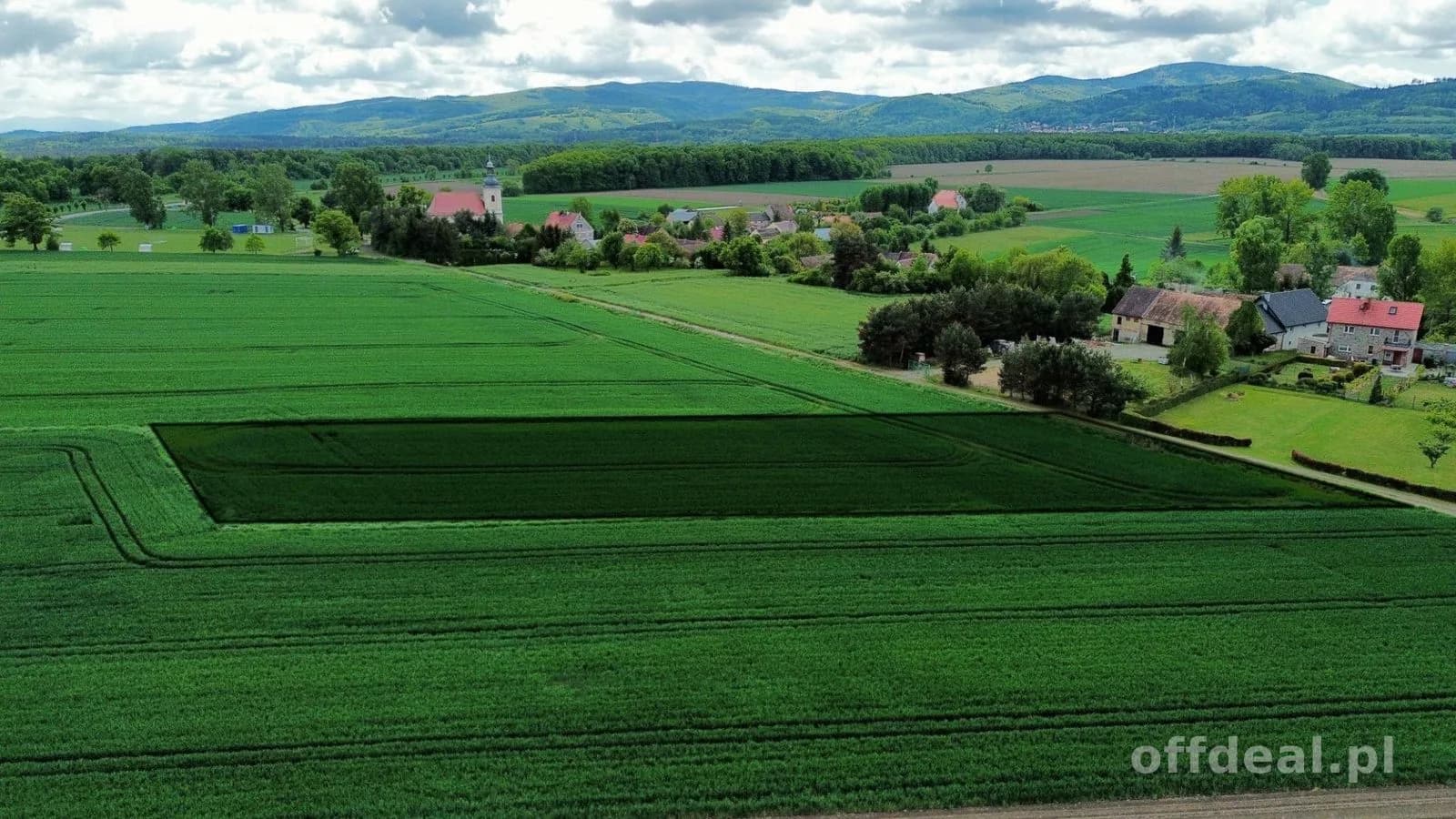 ділянка на продаж у Płonica | 2 035 m²