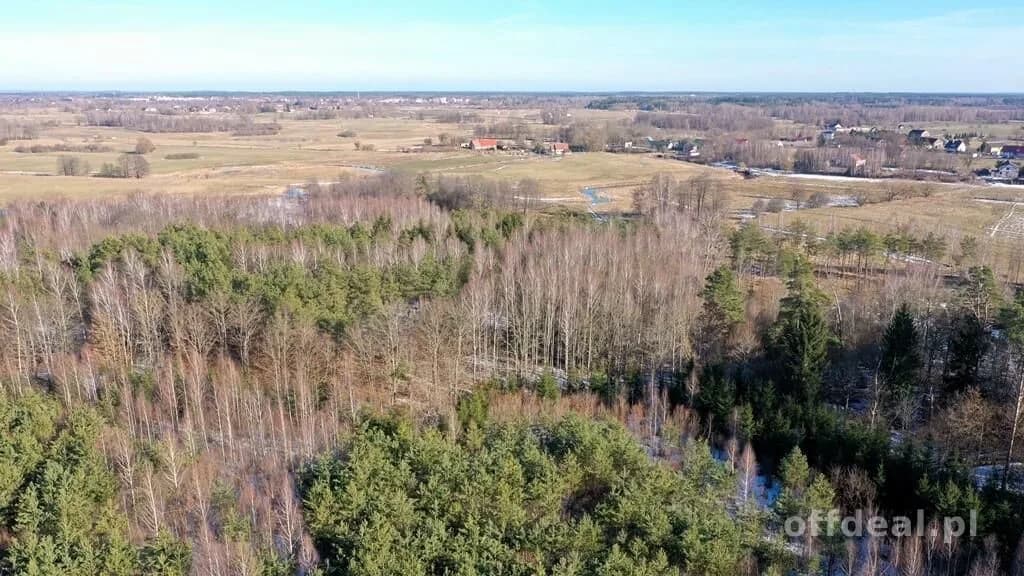 Działka Leśna 2,35 ha Grzegorze gm Orzysz