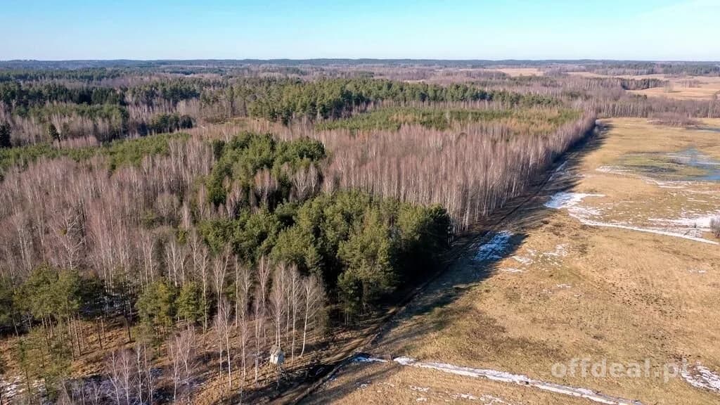 Działka Leśna 2,35 ha Grzegorze gm Orzysz
