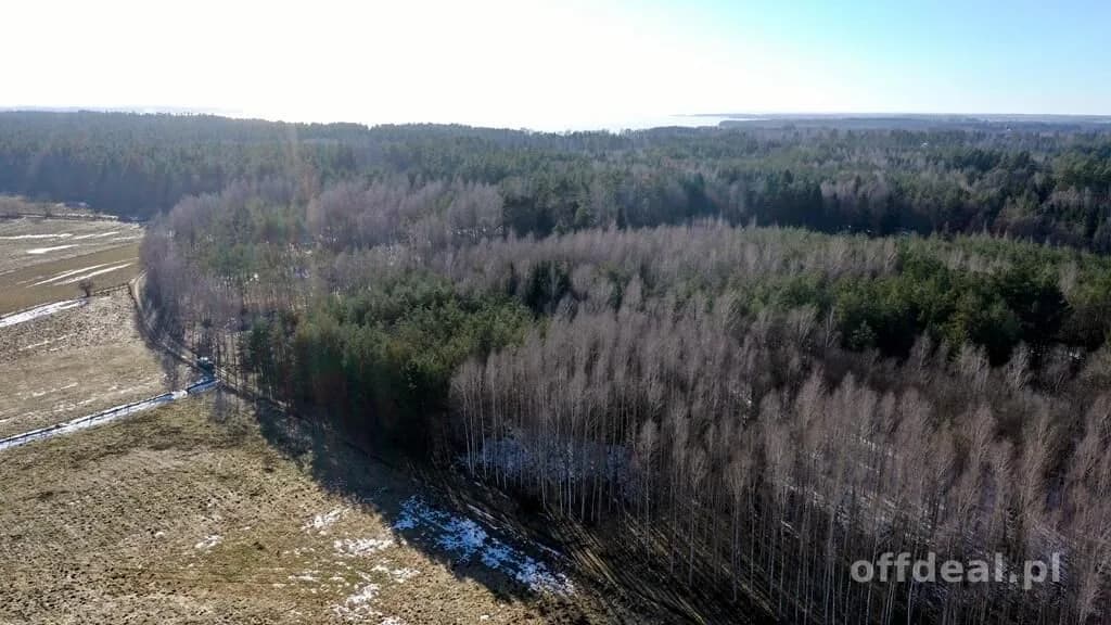 Działka Leśna 2,35 ha Grzegorze gm Orzysz