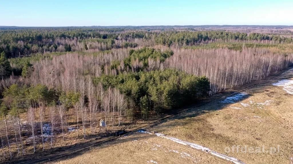 Działka Leśna 2,35 ha Grzegorze gm Orzysz