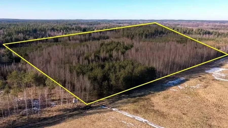 Działka Leśna 2,35 ha Grzegorze gm Orzysz