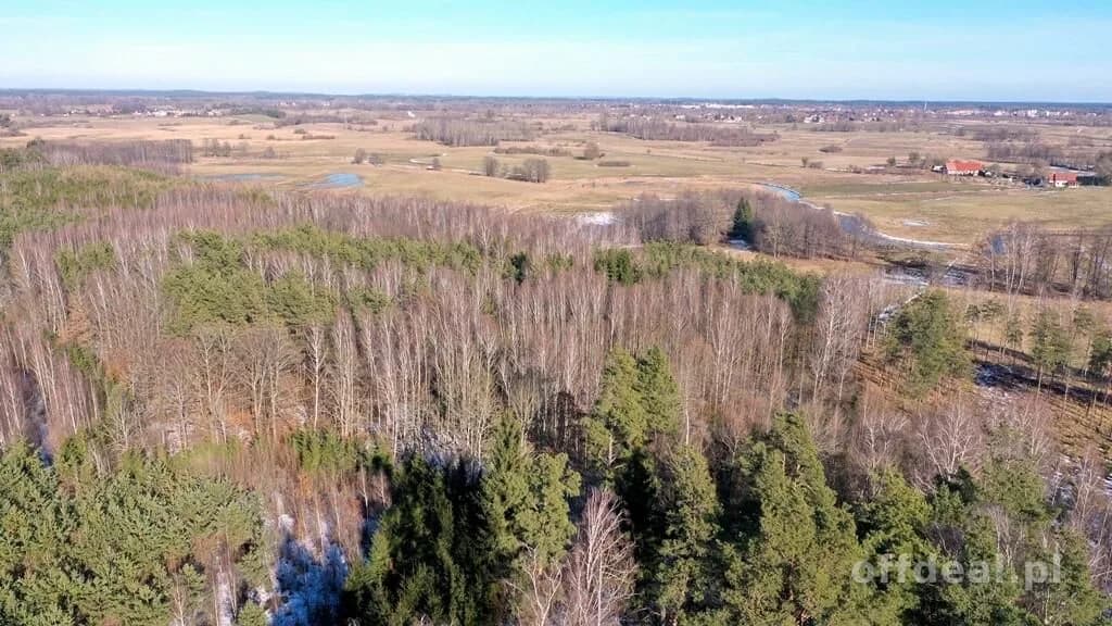 Działka Leśna 2,35 ha Grzegorze gm Orzysz